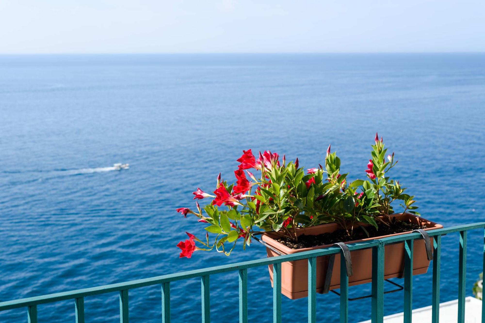 Il Nido Hotel 3*